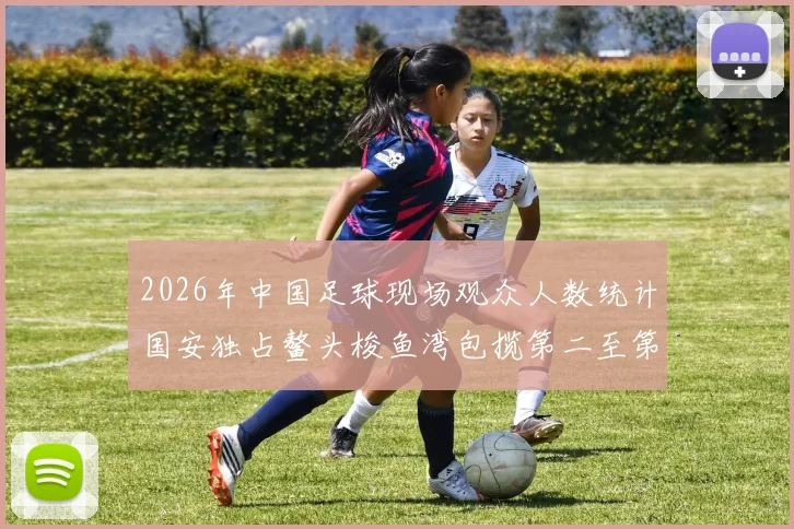 2026年中国足球现场观众人数统计国安独占鳌头梭鱼湾包揽第二至第七位