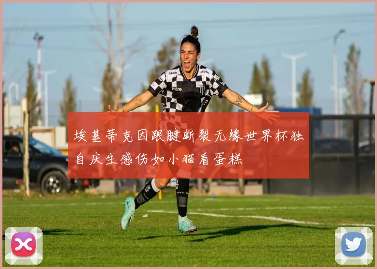 埃基蒂克因跟腱断裂无缘世界杯独自庆生感伤如小猫看蛋糕